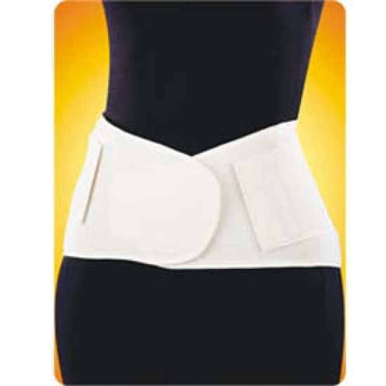 Living Health Products AZ-74-2096-L Mesh Industrial Back Support - White&#44; Largesog LGHP2548