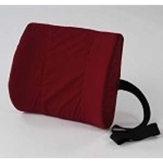 Living Health Products AZ-74-5321-BG Molded Lumbar Cushion with Board Insert - Graysog LGHP2145